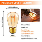 ST45G / 110V / Lumière chaude 2200K|Oui