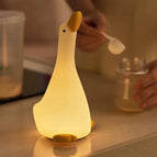 canard de rêve