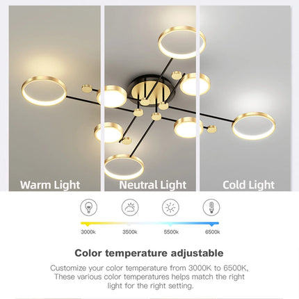 Plafonnier LED moderne IRALAN en fer et acrylique avec lumière réglable pour intérieur