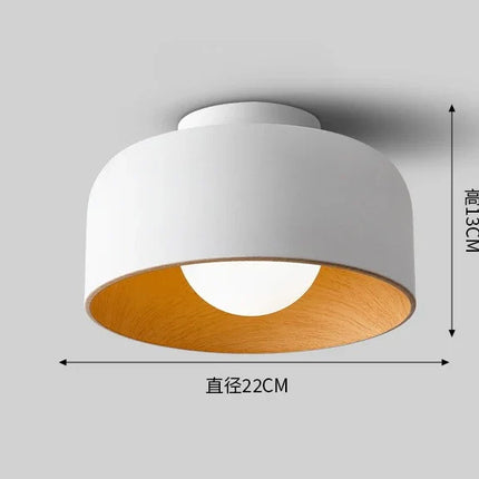 Plafonnier LED moderne minimaliste en métal noir, lumière chaude, diamètre 22 cm
