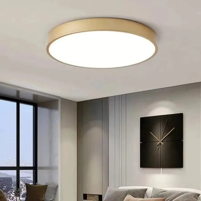Plafonnier LED circulaire moderne en métal et acrylique, design minimaliste pour intérieur