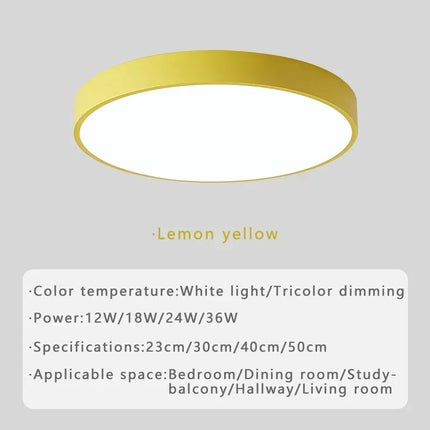 Plafonnier LED circulaire moderne en métal et acrylique, design minimaliste pour intérieur