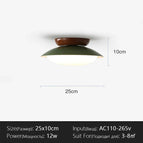 L250mm-Vert / Changeable Lumière