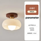 modèle E 20cm / Lumière Froide