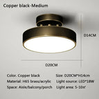 Noir 20CM / Lumière Froide Blanc - Sans Télécommande