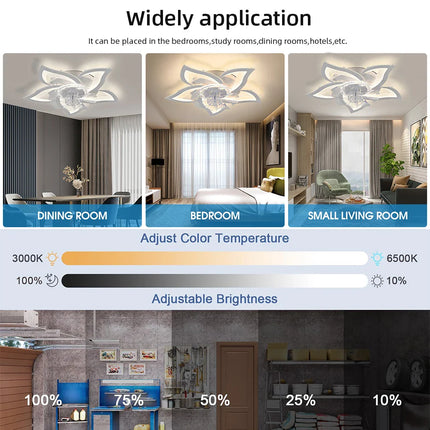 Plafonnier ventilateur IRALAN LED dimmable avec télécommande, design moderne et silencieux