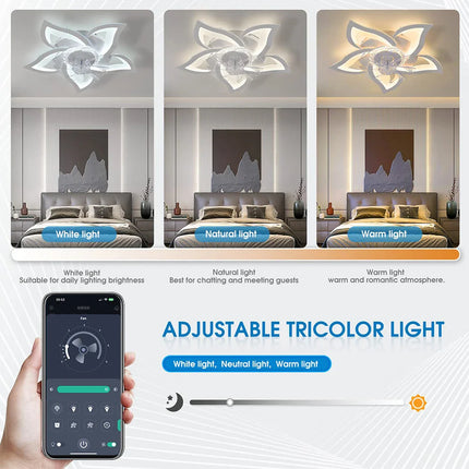 Plafonnier ventilateur IRALAN LED dimmable avec télécommande, design moderne et silencieux