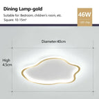 Or 40CM / Lumière Froide- sans télécommete