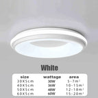 Blanc / Lumière Blanche-6000K / D30CM-30W