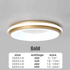 Or / Lumière Blanche-6000K / D30CM-30W