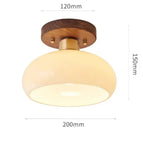 Tête(s) b 20cm / Lumière chaude / 220V