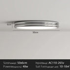 Chrome-50cm / Changeable Lumière