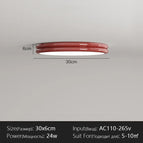 Rouge-30cm / Changeable Lumière