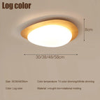 BoisEN COLOR / 3 Couleurs (Chaud, neutre, froids) Changeable / 300mm 18W