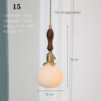 15 / Ampoule sansn incluse