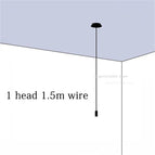1 Tête(s)  1.5m wire / Lumière chaude