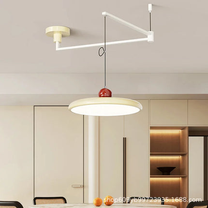 Suspension à bras oscillant en acier inoxydable, lumière à spectre complet, protection des yeux