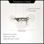 5H Transparent / Lumière Froide / Noir LampeCorps
