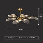 6 Lumières / 90-260V / Lumière Froide