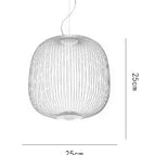 B Blanc Petit / Lumière chaude