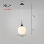 Noir D20CM