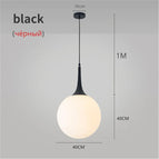 Noir D40CM