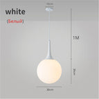 Blanc D30CM