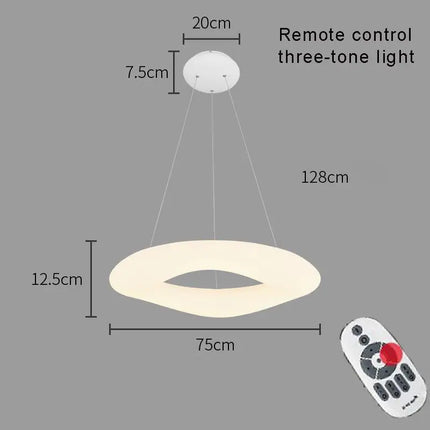 Suspension LED Circulaire Minimaliste en Acrylique pour Salon et Chambre