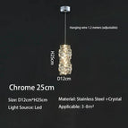 Chrome 25cm / Lumière Froide
