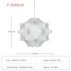 F-D40cm / Lumière Froide