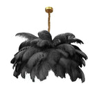 noir / D60cm 34 plumes / Lumière Naturellle
