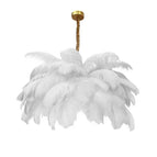 BLANC / D60cm 34 plumes / Lumière Froide