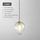 Transparent 20CM / Sans ampoule