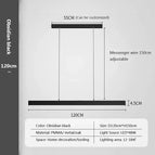 Noir 120cm / Lumière chaude  3000k