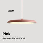 Rose / Diamètre25CM / Lumière Froide Blanc 6000K