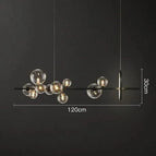 Noir Large 10 Tête(s) / Lumière chaude 3000K / Transparent verre|Nouveauté